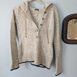 Patagonia Sweater Hoodie